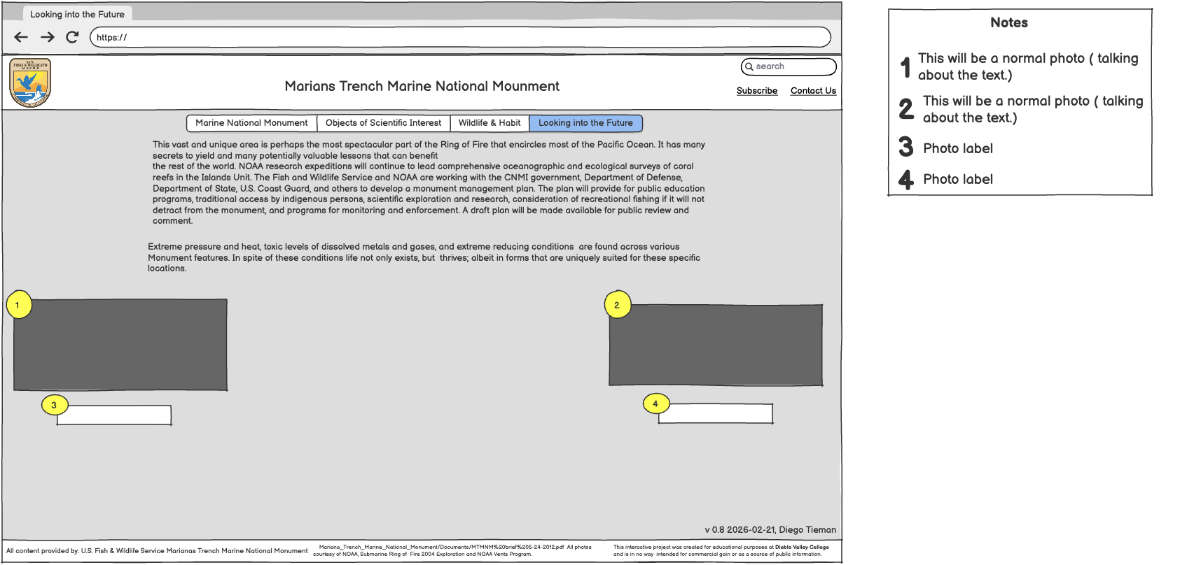 Looking to the Future wireframe