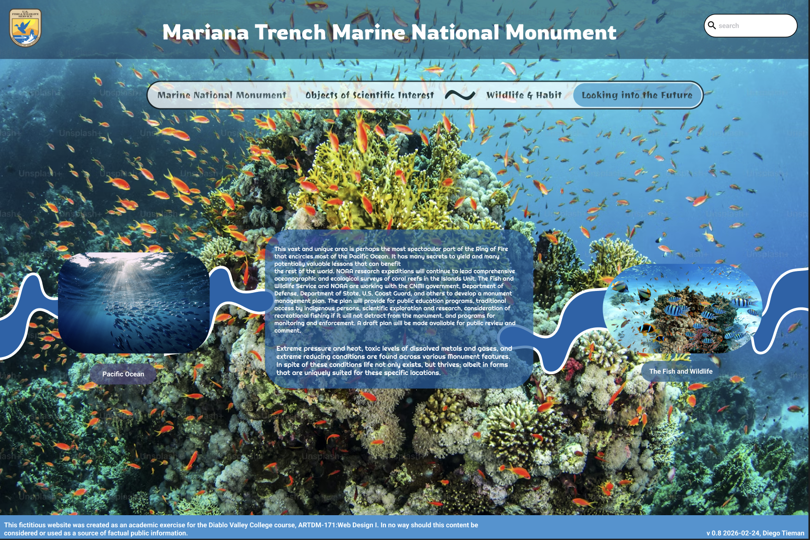 Looking to the Future